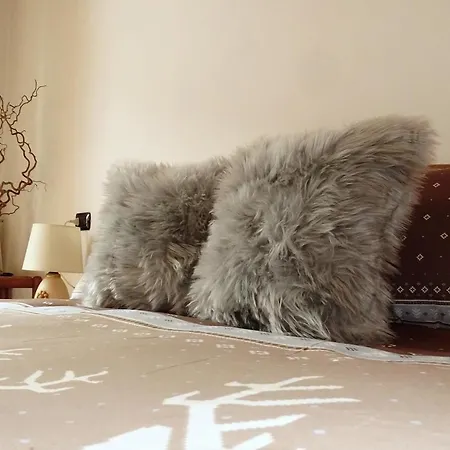 Casa Minela * Falcade