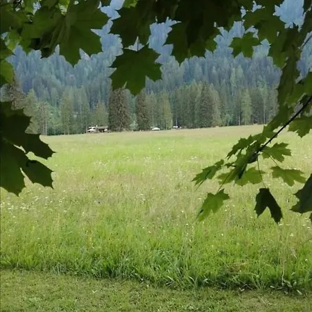 Appartement Casa Minela Falcade