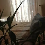 Διαμέρισμα Casa Minela Falcade