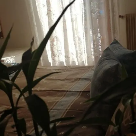 Apartament Casa Minela Falcade